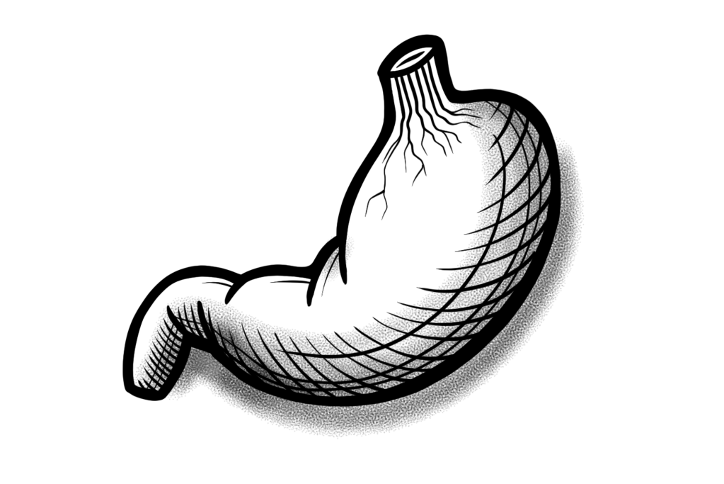 Gastrite e infezione da Helicobacter&nbsp;pylori